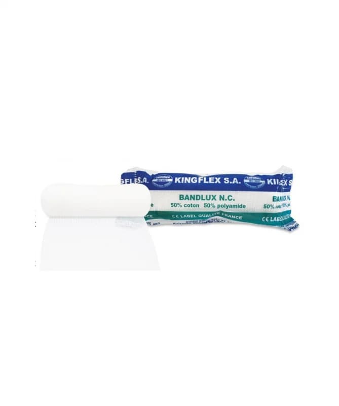 Megaplast Bande Gaze NC 10CM BT 12